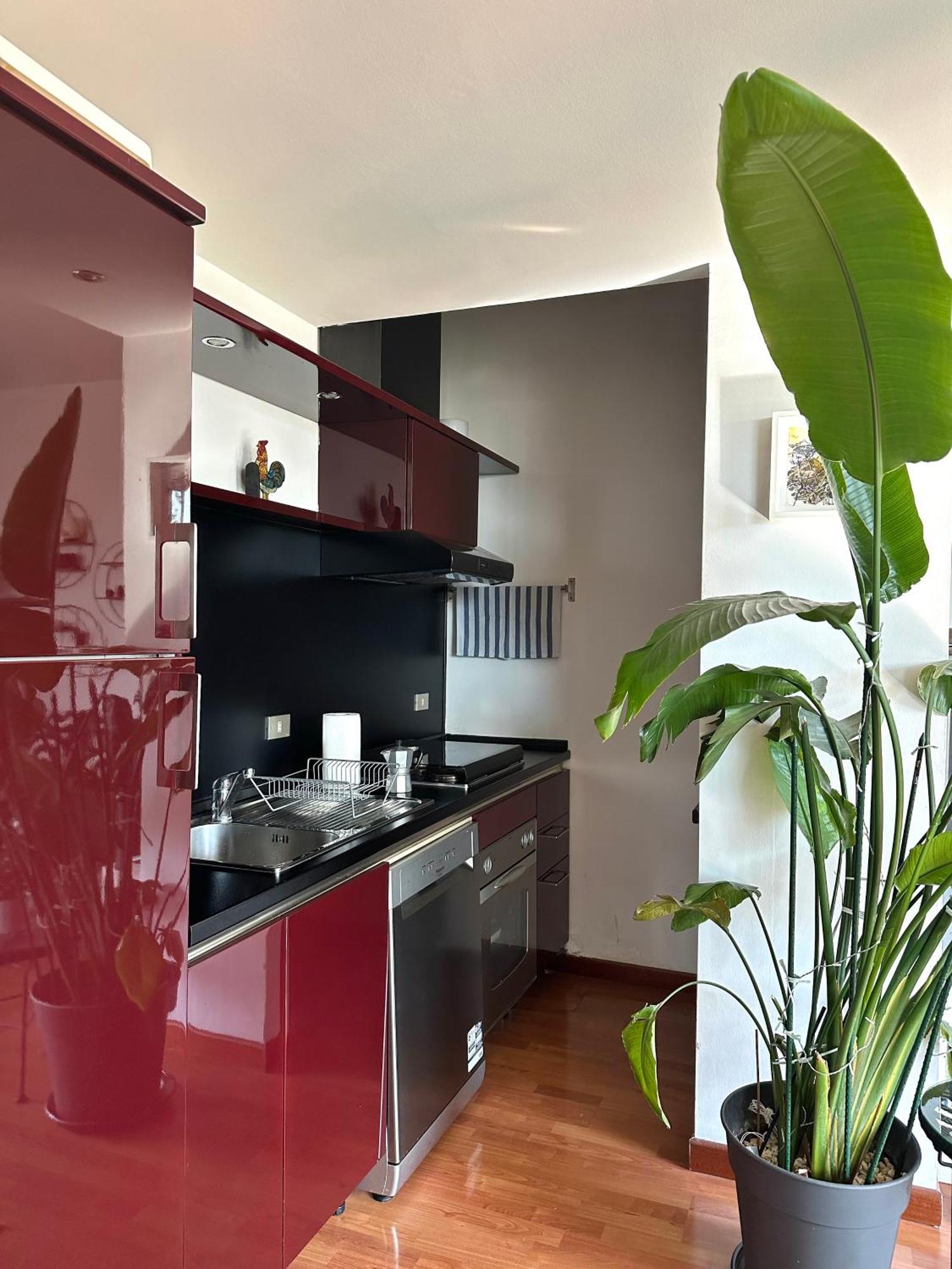 Ferienwohnung Urban Jungle - Attico Vista Duomo Mailand Exterior foto
